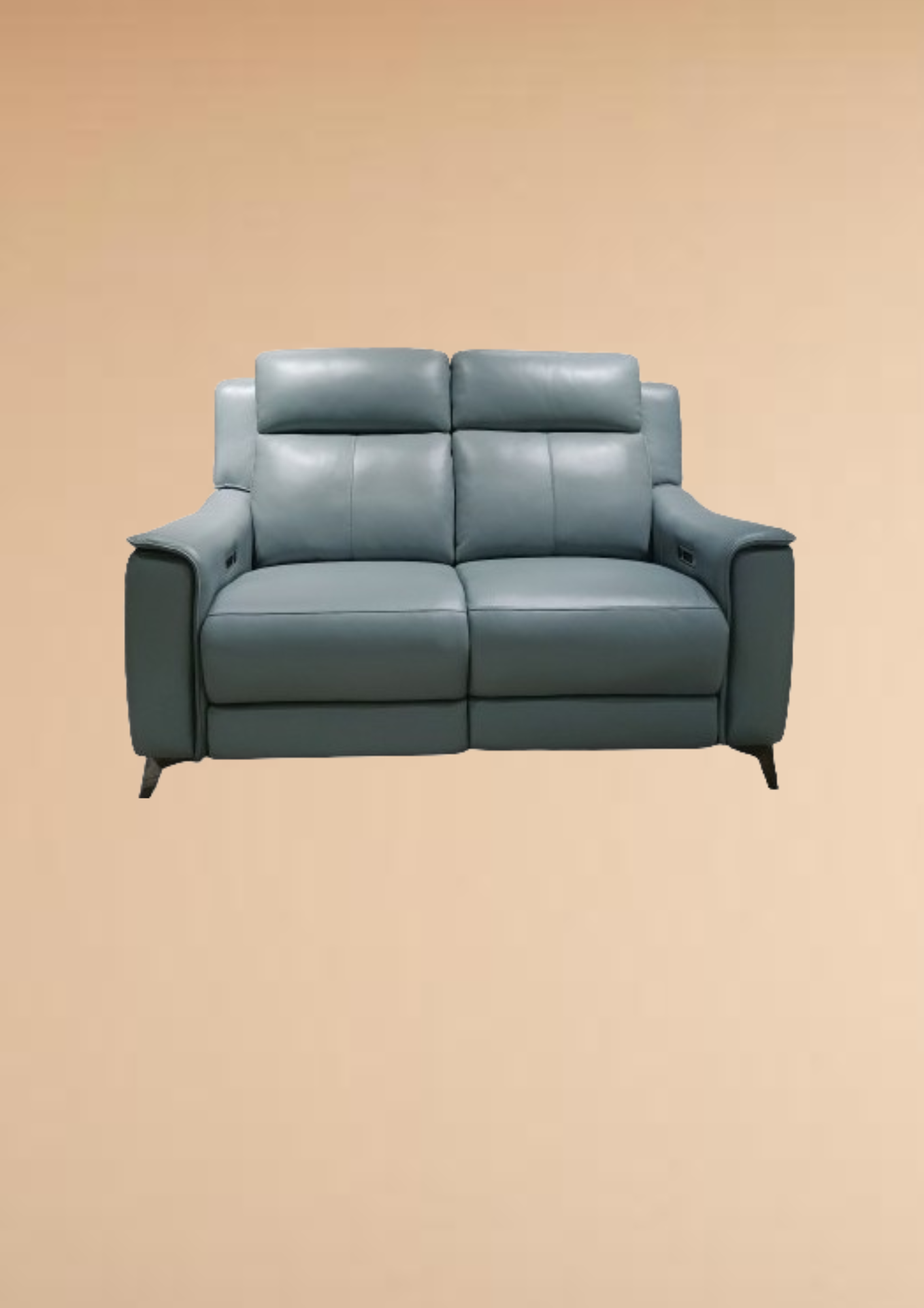 Alluring Leather Double Electric Recliner