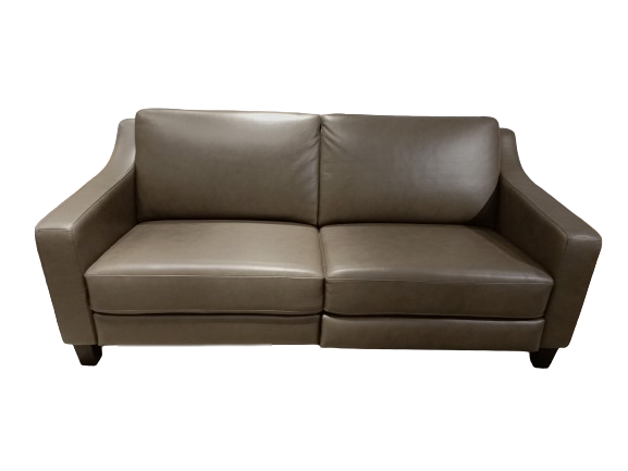 Paolo Leather Reclining Sofa, Jayee Home SALE