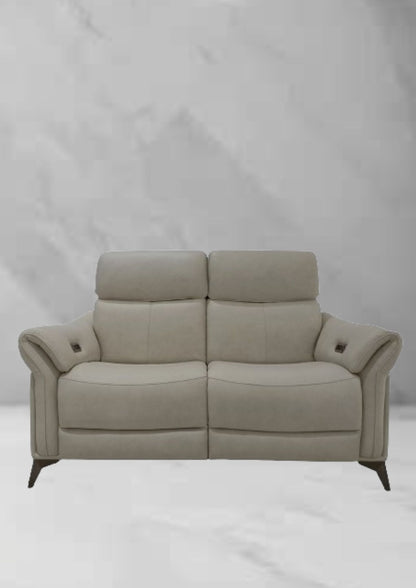 Dazzling Leather Double Electric Recliner