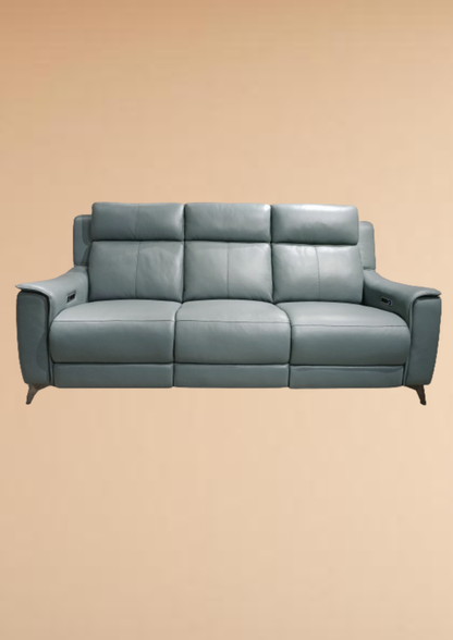 Alluring Leather Double Electric Recliner